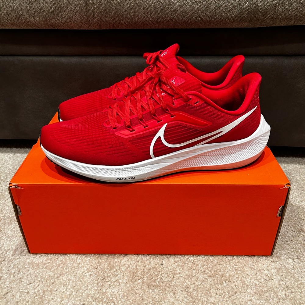 Nike Air Zoom Pegasus 39 TB
